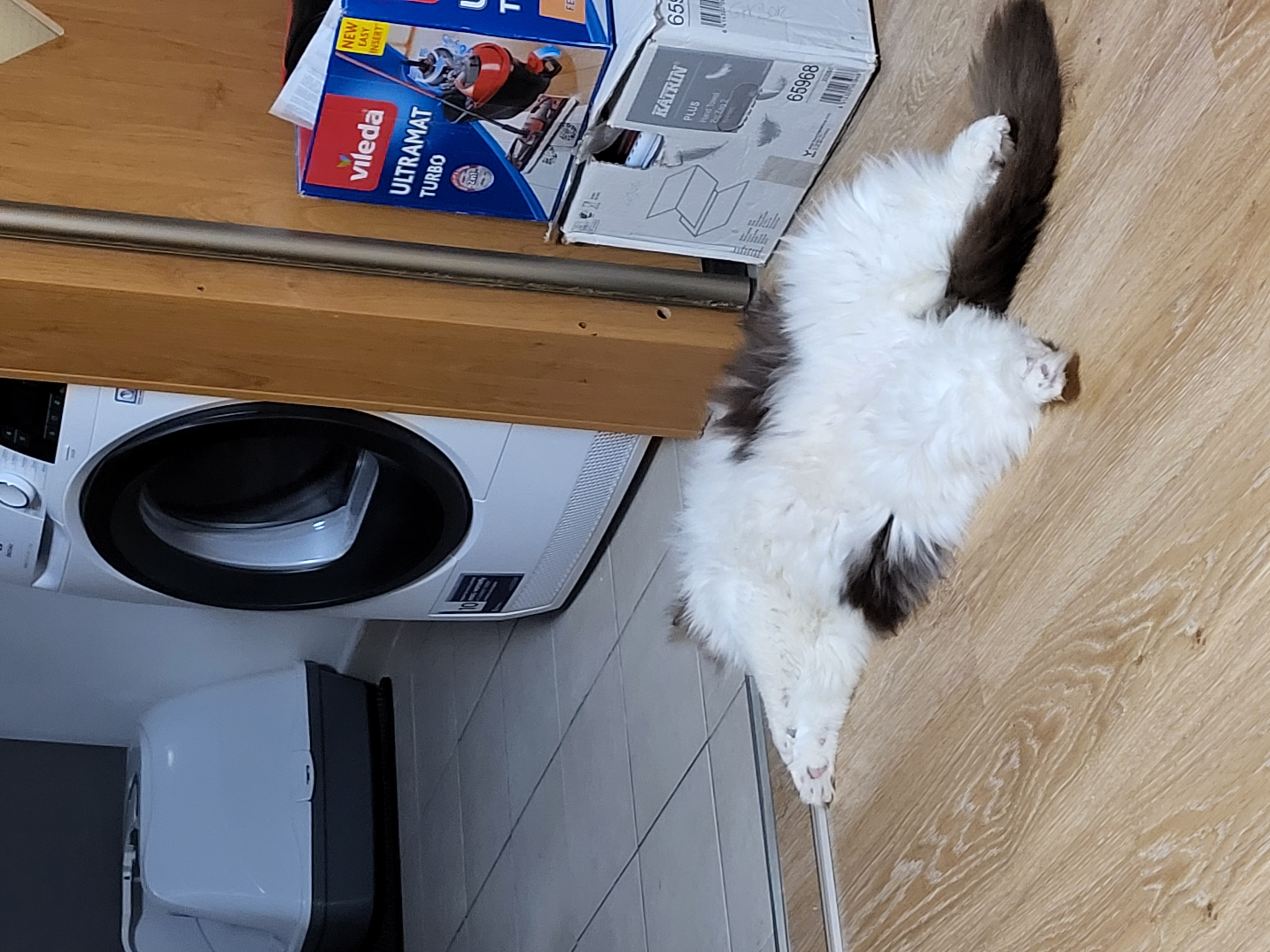 /images/Galeria/Képek gazdiktól (Pictures from owners)/20230109_203002.jpg